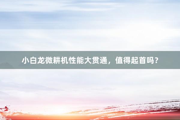 小白龙微耕机性能大贯通，值得起首吗？